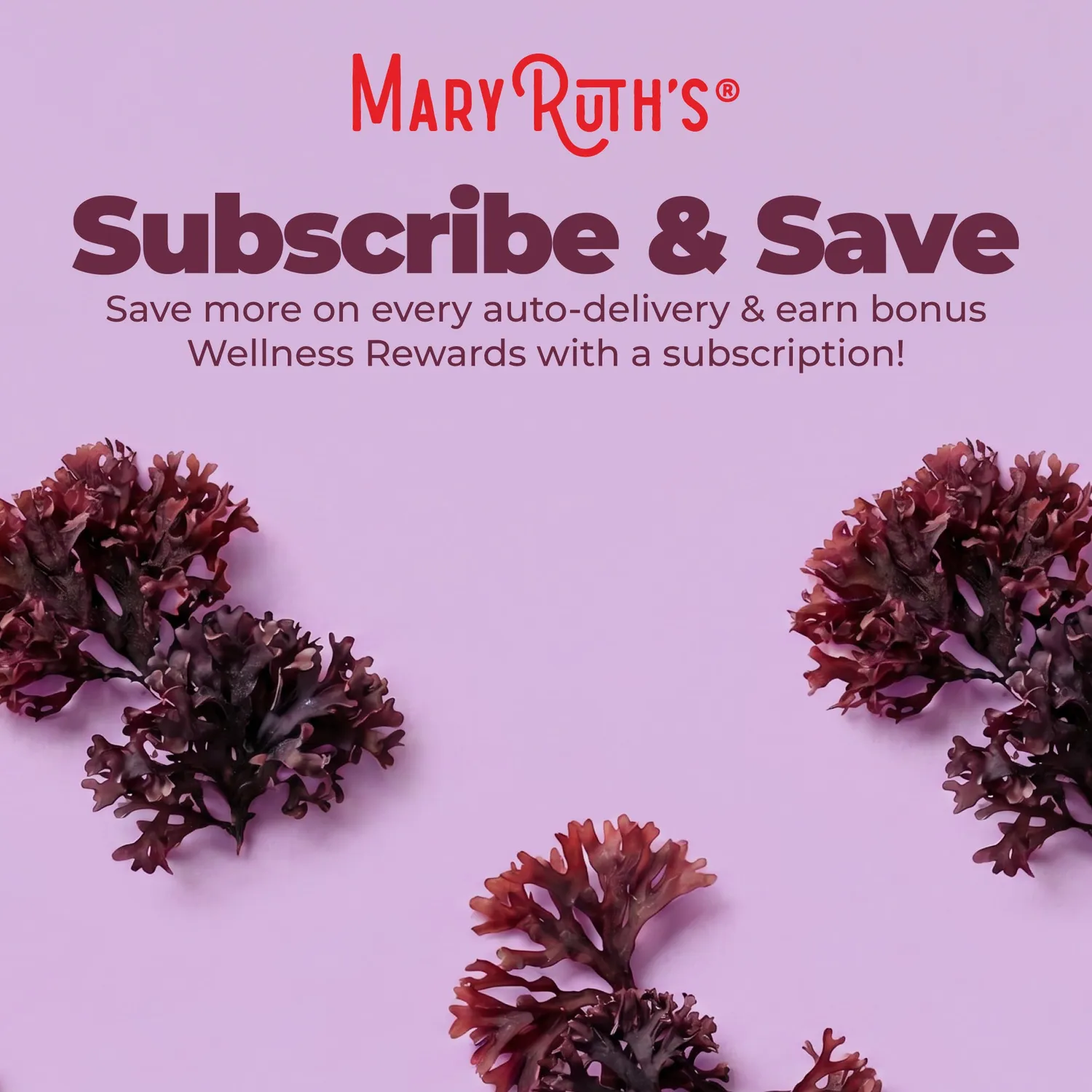 MaryRuth's Organic Sea Moss dråper 30 doser økologisk