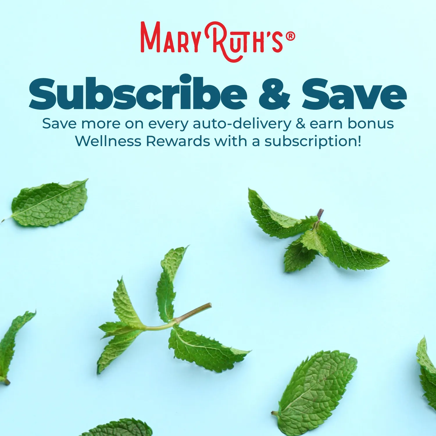 MaryRuth's Chlorophyll klorofyll dråper morbær