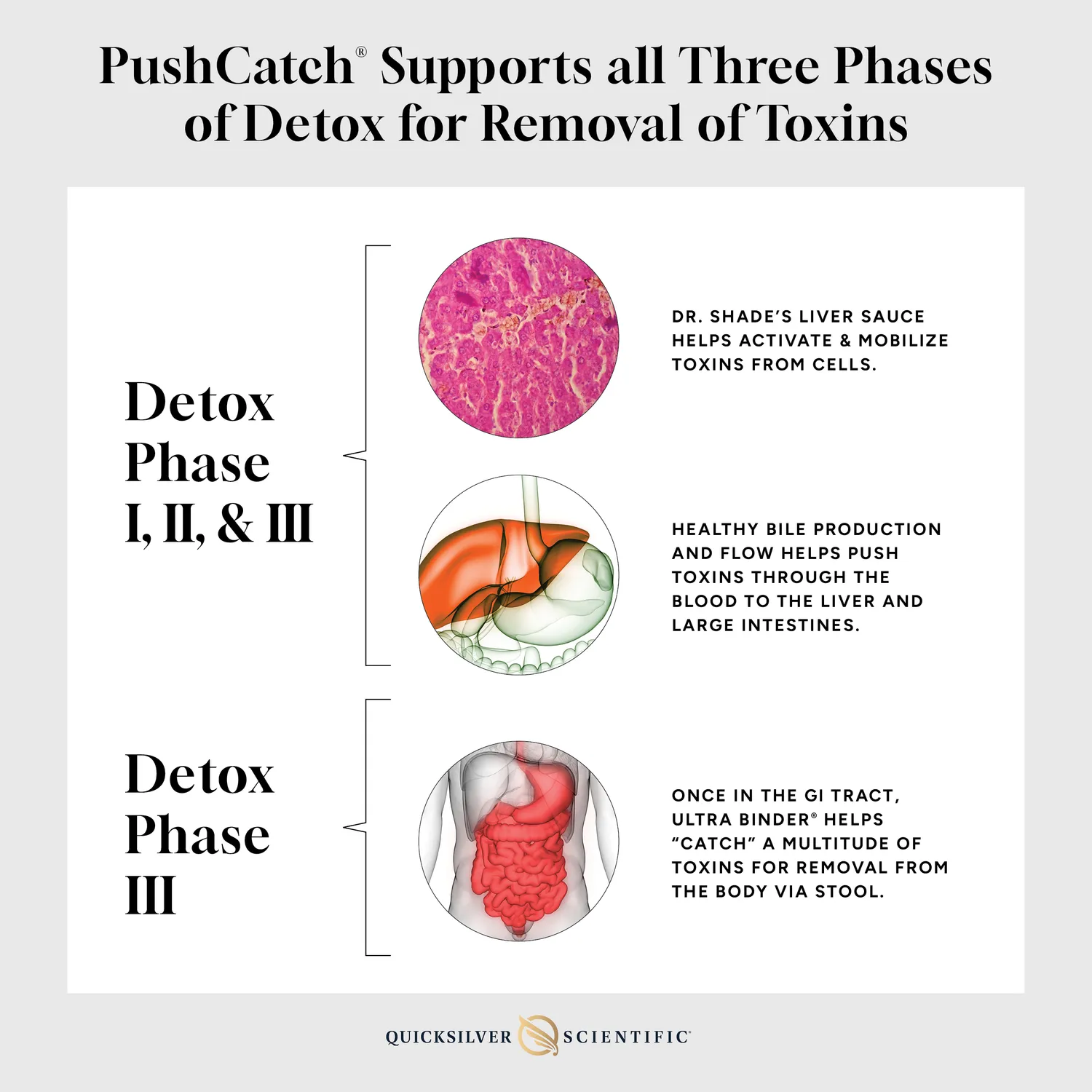 Quicksilver Scientific PushCatch Lever Detox 2-trinns kur