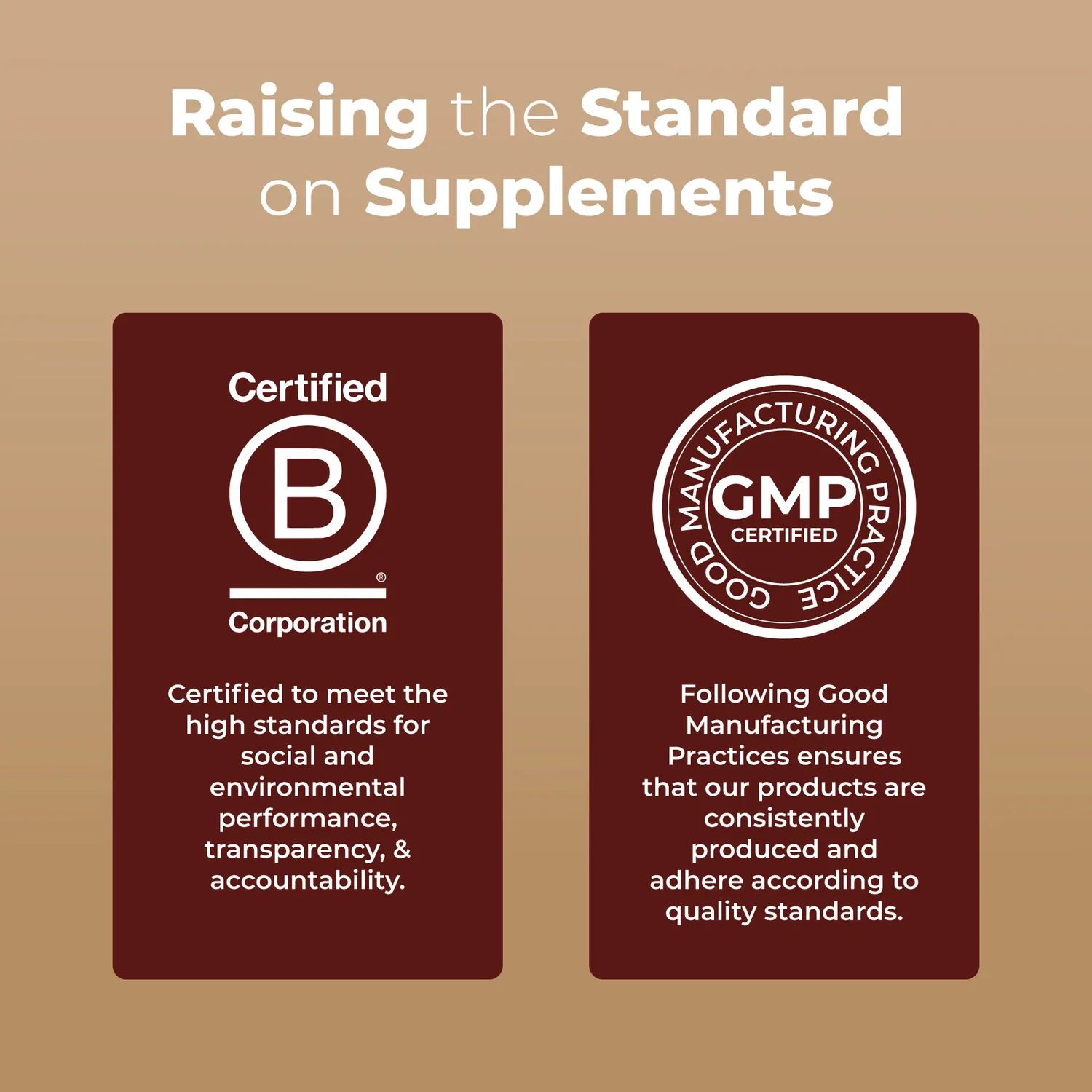 MaryRuth's Functional Mushrooms Liposomal sopp sjokolade